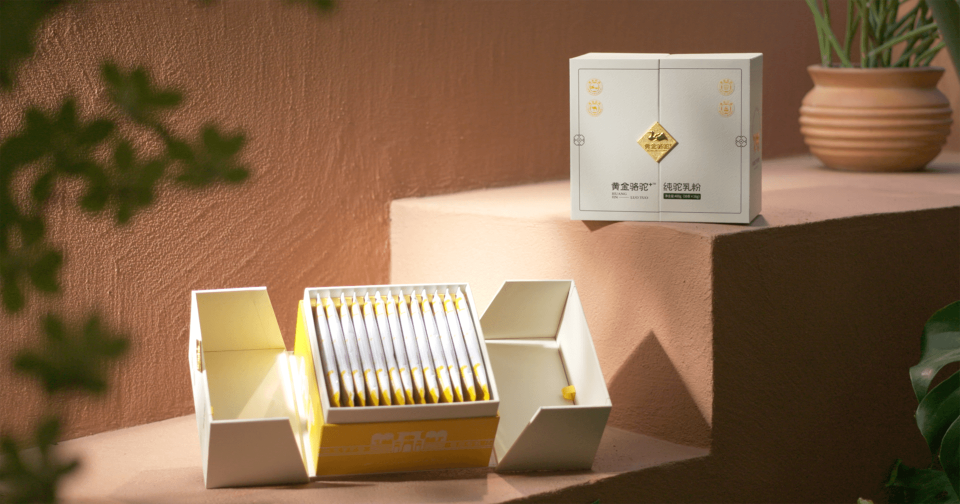 定位小众高端乳粉，jinnianhui今年会推出驼奶品牌“黄金骆驼+”，角逐乳品新市场！